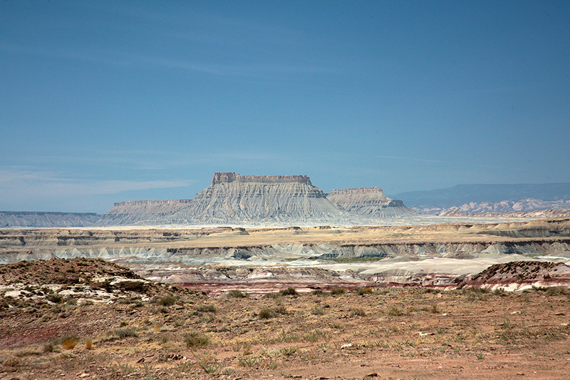 Bison : Antelope Island : Utah : Landscape Photos : Richard Moore : Photographer